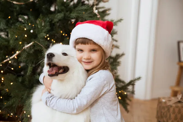 Feliz Niña Sombrero Santa Abrazo Perro Samoyedo Husky Vacaciones Navidad — Foto de Stock