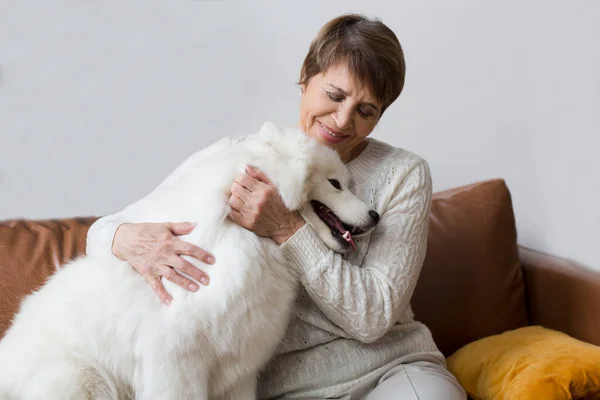 Šťastný Senior Žena Objímání Pes Samoyed Husky Sedí Pohovce Doma — Stock fotografie