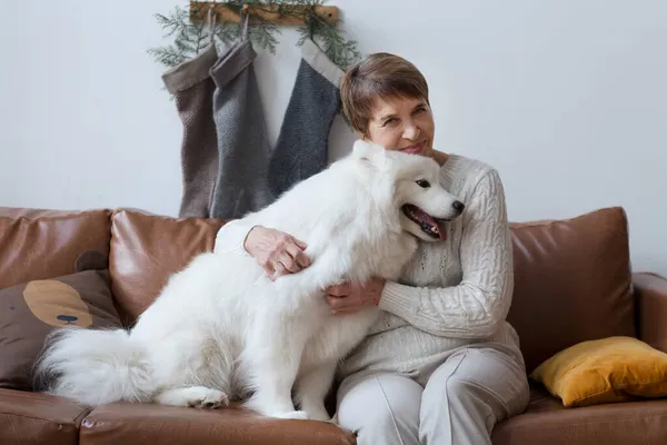 Felice Donna Anziana Abbraccio Cane Samoyed Husky Seduto Sul Divano — Foto Stock