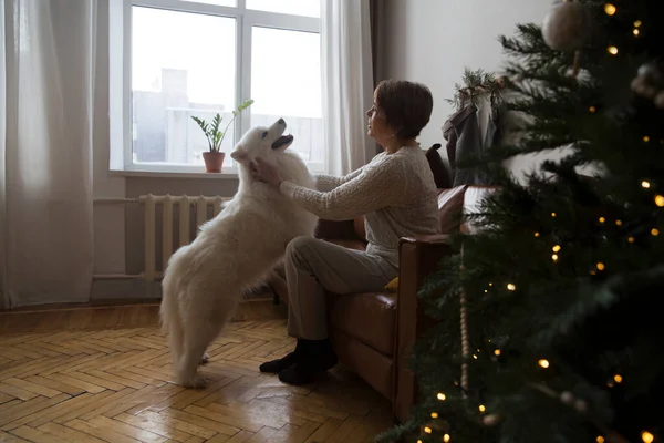 Mutlu Son Sınıf Öğrencisi Köpeği Kucaklayan Samoyed Husky Evdeki Noel — Stok fotoğraf
