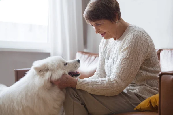 快乐的老年妇女抱着狗萨摩亚哈士奇坐在家里的沙发上 免版税图库照片
