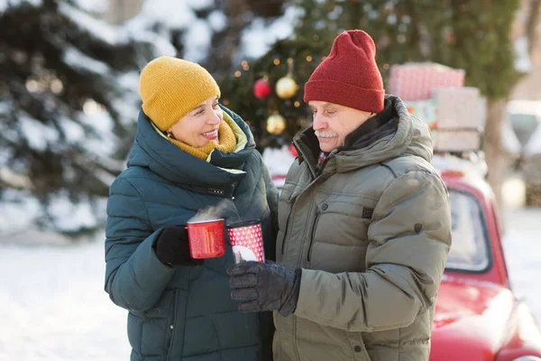 穿着温暖冬衣站在街上喝茶的老年夫妇 圣诞快乐 免版税图库图片