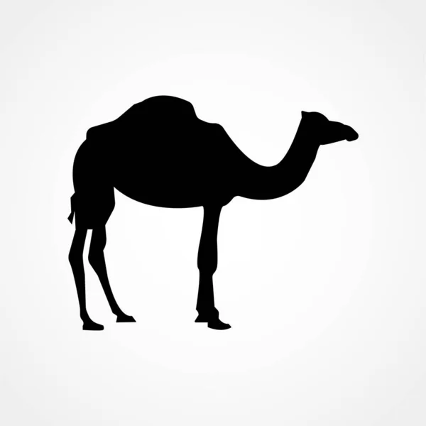 Camel Icon Isolated Background Modern Flat Pictogram Business Marketing Internet — Stock Vector