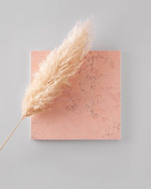 Pampas çim tüyü kare pembe mermer bir fayans üzerinde. Gri bir arkaplanda asgari düğün davetiyesi modeli.