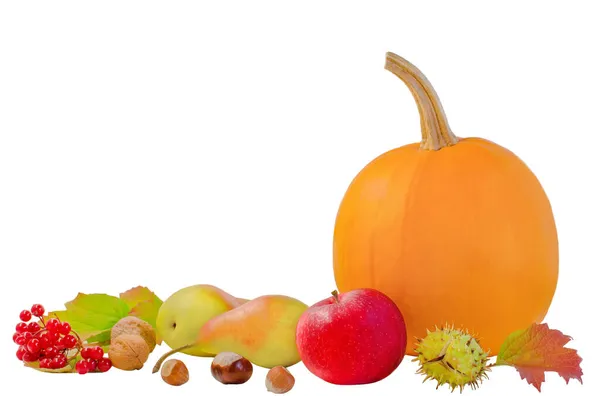 Herbst Stillleben Erntedank Kürbis Mit Äpfeln Birnen Nüssen Und Beeren — Stockfoto