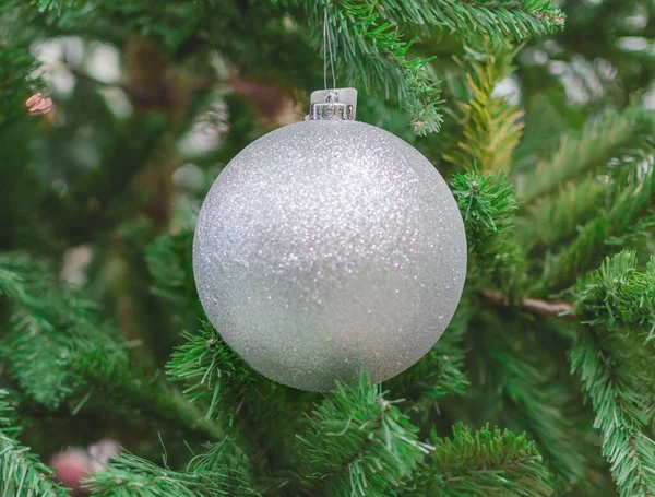 Zilveren Kerstbal Een Achtergrond Van Groene Sparren — Stockfoto