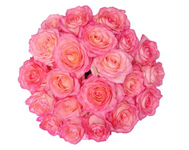 Beyaz arka planda izole edilmiş bir bukette pembe gül çiçekleri