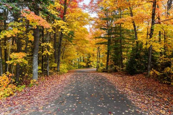 Drumul Înapoi Deșertat Printr Pădure Colorată Vârful Frunzișului Toamnă Parcul — Fotografie, imagine de stoc