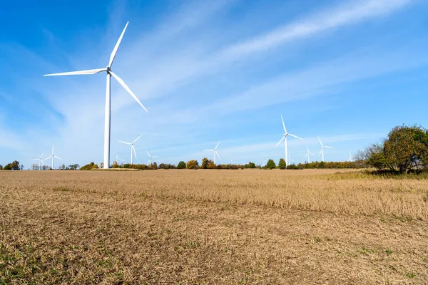 Windräder Auf Einem Abgeernteten Feld Einem Klaren Herbsttag Kopierraum Konzept — Stockfoto