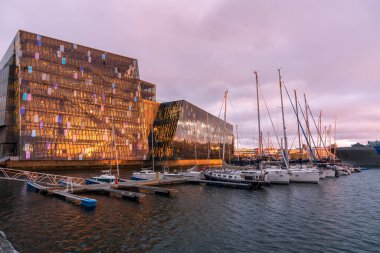 Reykjavik, İzlanda - 09 Temmuz 2020: Gece karanlığında Harpa konser salonunun limanından görüntü