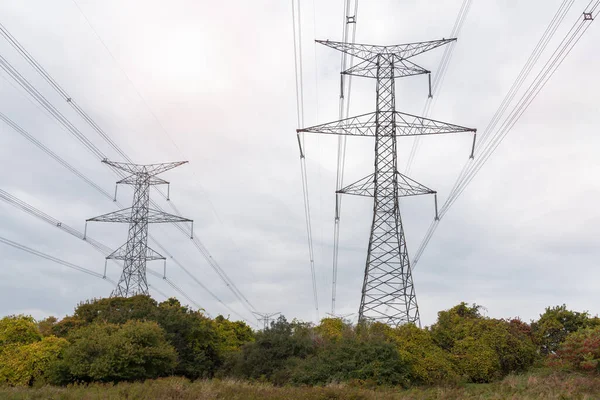 Pilones Altos Que Soportan Líneas Alto Voltaje Campo Día Nublado — Foto de Stock