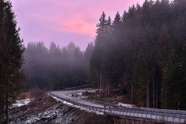Deserted Mountain Road Pine Forest Shrouded Fog Dusk Winter — Stock Photo, Image