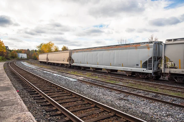 曇りの秋の日に鉄道駅で貨物列車のワゴン カナダのオン州ハンツビル — ストック写真