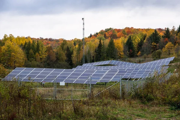 Sluneční Elektrárna Obklopená Pestrobarevnými Stromy Vrcholu Podzimního Listí Oblačného Dne — Stock fotografie
