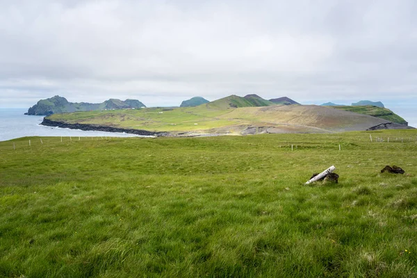 Pâturages Surplombant Océan Sous Ciel Nuageux Été Îles Westman Islande — Photo