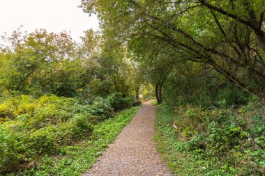 Bulutlu bir sonbahar gününde bir nehrin kıyısında ağaçlar dar patikalar çiziyor. Huntsville, On, Kanada.