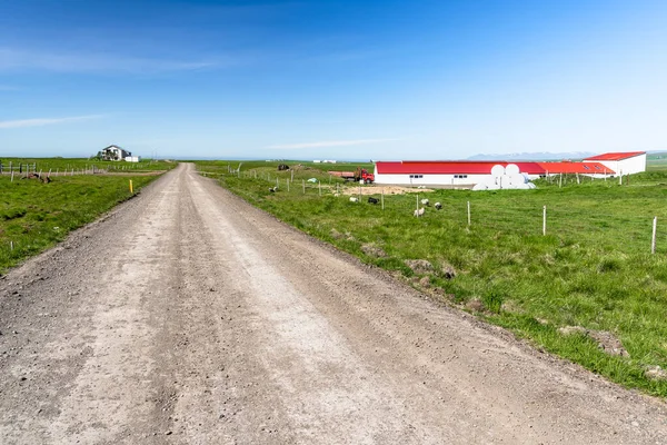 Bauernhöfe Entlang Einer Schotterstraße Der Landschaft Islands Einem Klaren Sommertag — Stockfoto