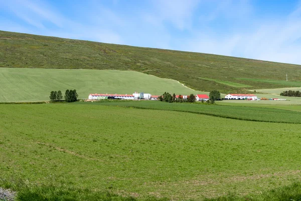 Bauernhäuser Mit Roten Dächern Fuße Eines Grasbewachsenen Hügels Einem Klaren — Stockfoto