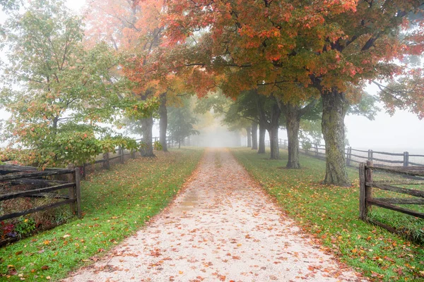 在一个寒冷的秋日清晨 一条狭窄的树边小道笼罩在雾中 秋天的颜色加拿大安大略省农村地区 — 图库照片
