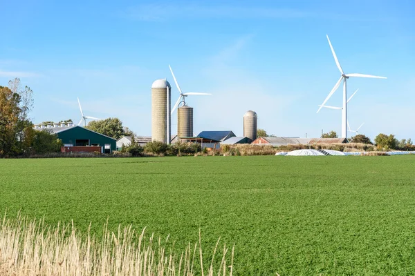 Farm Mit Hohen Windrädern Hintergrund Einem Klaren Herbsttag Konzept Für — Stockfoto