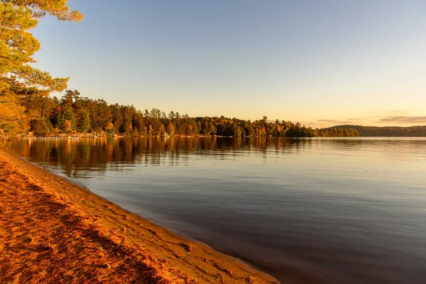 Utsikt Över Algs Skogsstrand Varmt Solnedgångsljus Hösten Lugn Scen Dwight — Stockfoto