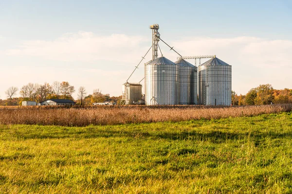 Getreideaufzug Mit Großen Metalltanks Warmen Sonnenuntergang Herbst Land Von Ontario — Stockfoto