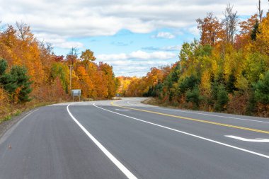 Issız viraj yolu, ortasında bir dönüş çizgisi var sonbahar yapraklarının zirvesinde bir desiduos ormanının içinden geçiyor. Ontario, Kanada.