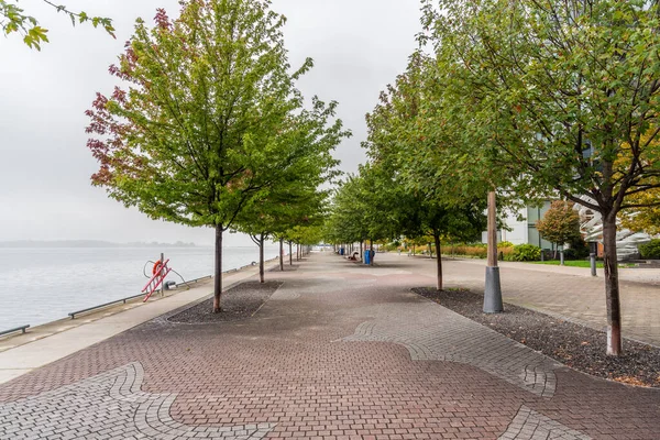 Vaciado Camino Bordeado Árboles Frente Mar Día Otoño Brumoso Toronto — Foto de Stock