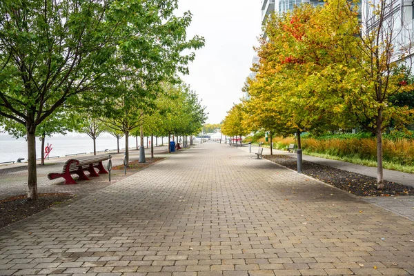 Kopfsteinpflasterweg See Gesäumt Von Bäumen Einem Bewölkten Herbsttag Schöne Herbstfarben — Stockfoto