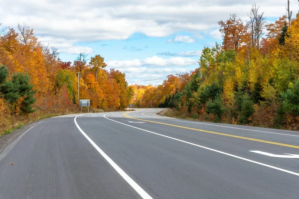 Camino Sinuoso Abandonado Con Una Línea Giro Medio Través Bosque — Foto de Stock