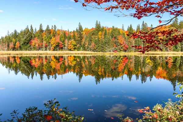 Bosque Otoñal Que Refleja Las Tranquilas Aguas Lago Día Soleado — Foto de Stock