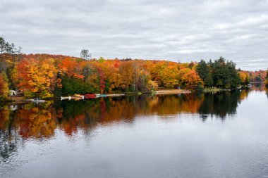 Adirondack sandalyeli Wodeen jettileri ve bulutlu bir sonbahar gününde gölün ormanlık sahili boyunca renkli kanolar, sersemletici sonbahar yaprakları. Algonquin Parkı, On, Kanada.