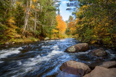 Fast-flowing river through a colourful forest in autumn. Beautiful fall foliage. Algonquin Park, ON, Canada.