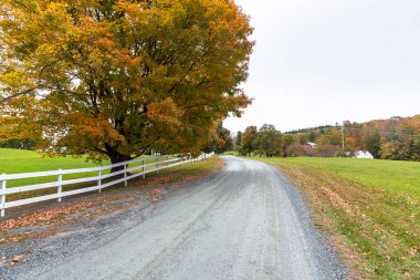 Bulutlu bir sonbahar gününde Vermont kırsalında asfaltsız bir yol boyunca beyaz ahşap çitler.