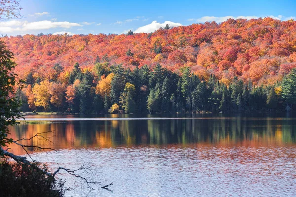 Deciduous Forest Peak Autumn Colours Reflecting Calm Waters Lake Sunny — 图库照片