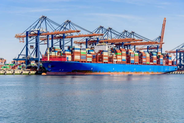 Large Container Ship Harbour Sunny Summer Day Port Rotterdam Netherlands — Stock Photo, Image