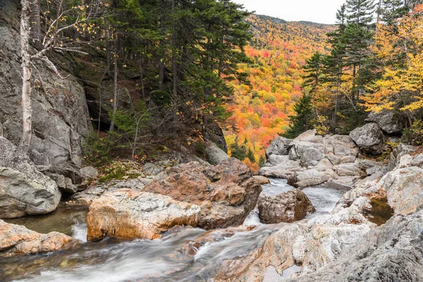 Fast Flowing Mountain Creek Autumn Stunning Autumn Colours Background Glen — Stock Photo, Image