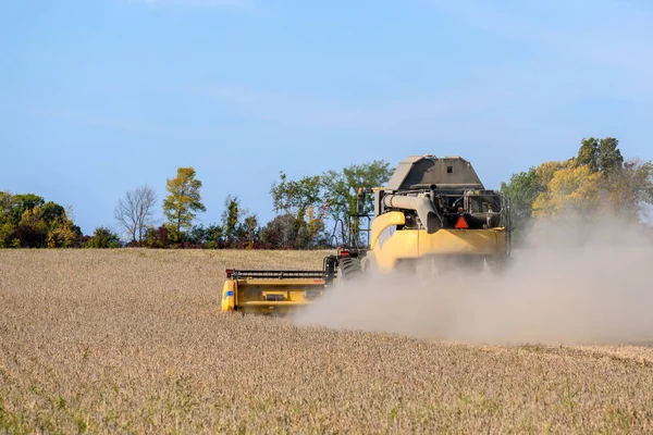 Back View Combine Harvester Harvesting Weath Field Blue Sky Autumn — Foto Stock