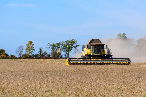 New Combine Harvester Wheat Field Clear Autumn Day Wolfe Island — Foto Stock