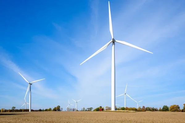 Tall Wind Turbines Wheat Field Blue Sky Autumn Copy Space — Stok fotoğraf