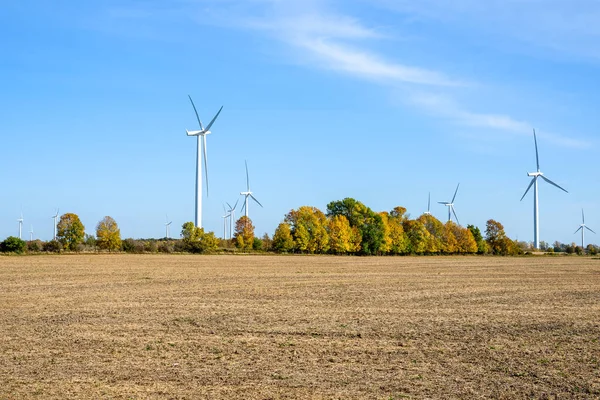 Wind Turbines Rual Landscape Sunny Autumn Day Wolfe Island Canada — 图库照片