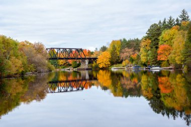 Steel railroad bridge spanning a river with forested banks at the peak of autumn colours. Reflection in water. Huntsville, ON, Canada.