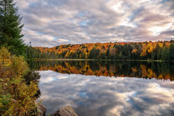Dramatic Sunset Sky Lake Wtih Forested Shoresduring Autumn Colour Season —  Fotos de Stock
