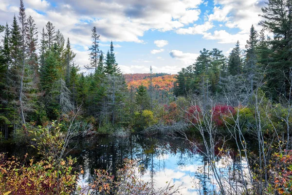 Small Pond Forest Partly Cloudy Autumn Day Reflection Water Algonquin — Stock Photo, Image