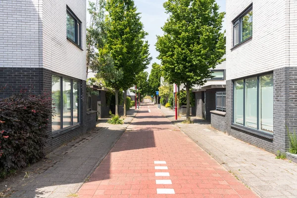 Empty Tree Lined Bicycle Lane Running Modern Brick Residential Buildings — Stock Fotó