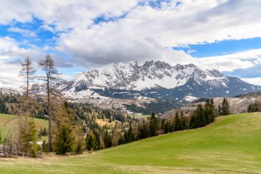 Majestic snow-capped mountain in the European Alps on a cloudy spring day. A Meadow is in foreground.