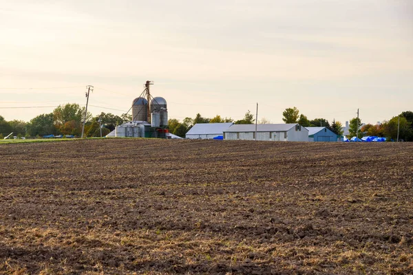 Farm buildings with silos and a grain elevator at the far end of a ploughed filed under cloudy sky at sunset in autumn. Wolfe Island, ON, Canada.
