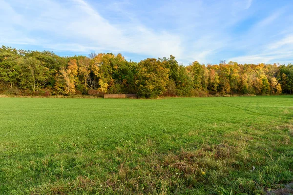 Rasenfläche Gesäumt Von Bunten Herbstbäumen Bei Sonnenuntergang Wolfe Island Kanada — Stockfoto