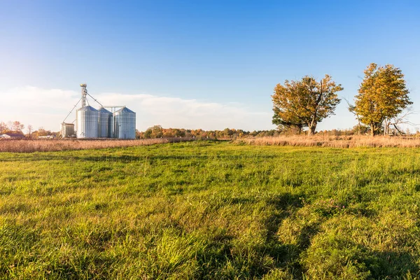 Getreideaufzug Mit Stahltanks Einer Ländlichen Landschaft Bei Sonnenuntergang Herbst Land — Stockfoto