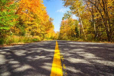 Açık bir sonbahar gününde boş orman yolu. Göz kamaştırıcı sonbahar renkleri. Huntsville, On, Kanada,